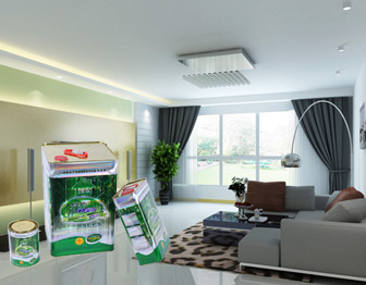 ʲô���zճ��